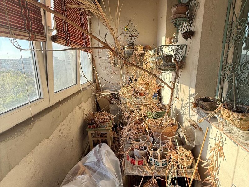 Baba Novac, Campia Libertatii, chiar la coltul parcului IOR, 2 bai